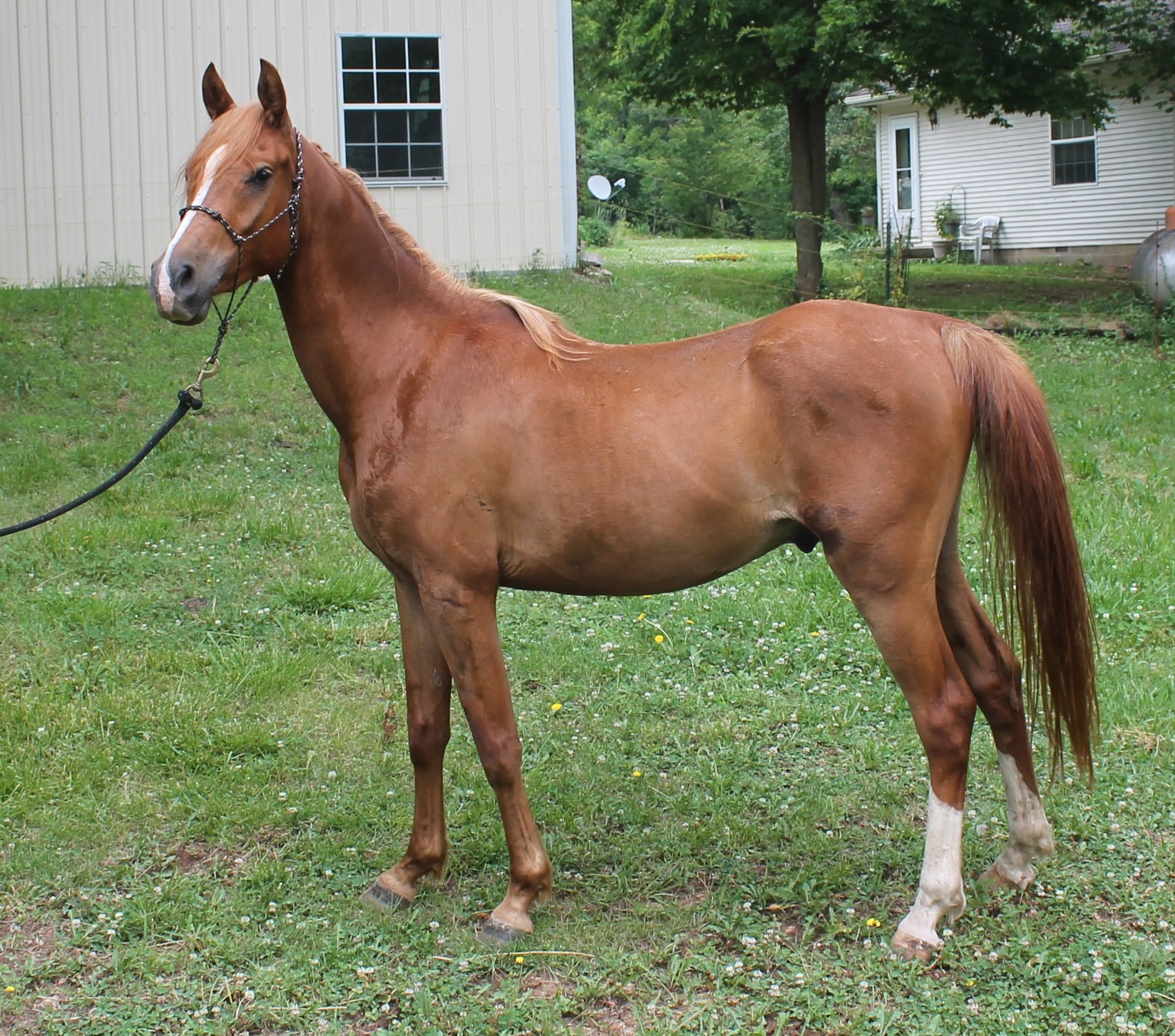 River's Edge Zara