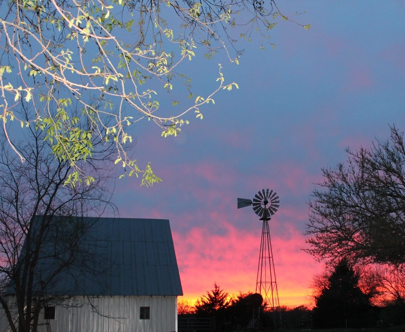 Twin Rivers Arabians farm on the Kansas plains